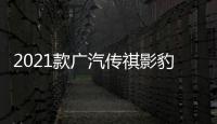 2021款廣汽傳祺影豹日常實用性測試報告