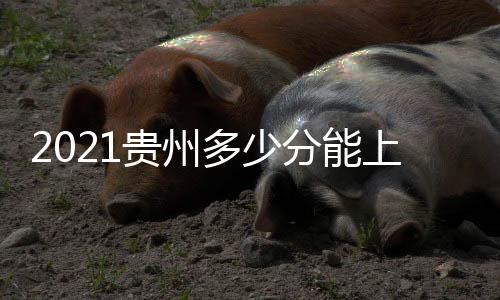 2021貴州多少分能上985，2021貴州多少分能上一本