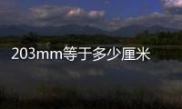 203mm等于多少厘米（20mm等于多少厘米）