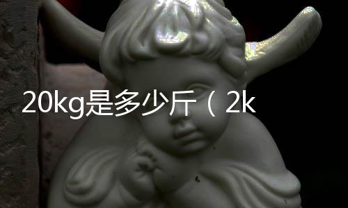 20kg是多少斤（2kg是多少斤）
