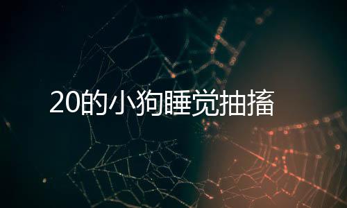 20的小狗睡覺抽搐