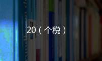 20（個稅）