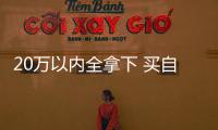 20萬以內全拿下 買自主還是買合資？