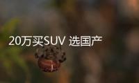 20萬買SUV 選國產高配還是有面兒合資？