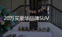 20萬買豪華品牌SUV 奧迪新款Q2L哪款最推薦