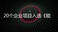 20個企業項目入選《能源轉型促進生物多樣性保護實踐案例》