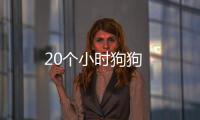 20個小時狗狗