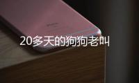 20多天的狗狗老叫