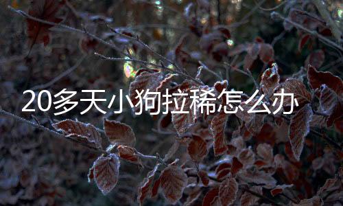 20多天小狗拉稀怎么辦啊？20多天小狗拉稀怎么辦呀