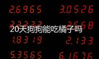 20天狗狗能吃橘子嗎