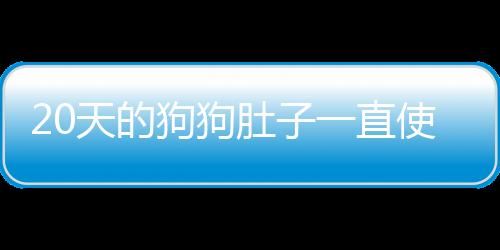 20天的狗狗肚子一直使勁