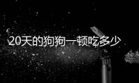 20天的狗狗一頓吃多少合適