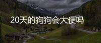20天的狗狗會大便嗎