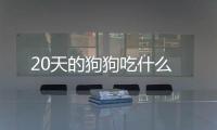 20天的狗狗吃什么