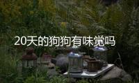 20天的狗狗有味覺嗎