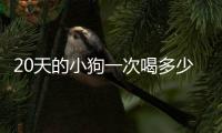 20天的小狗一次喝多少奶(小狗喝多少水)
