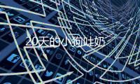 20天的小狗吐奶