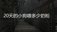 20天的小狗喂多少奶粉