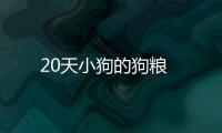 20天小狗的狗糧