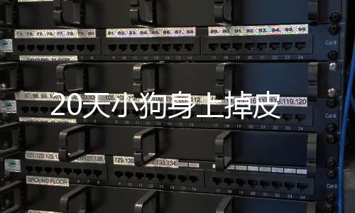 20天小狗身上掉皮