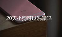 20天小狗可以洗澡嗎