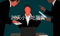 20天小狗吃蛋黃