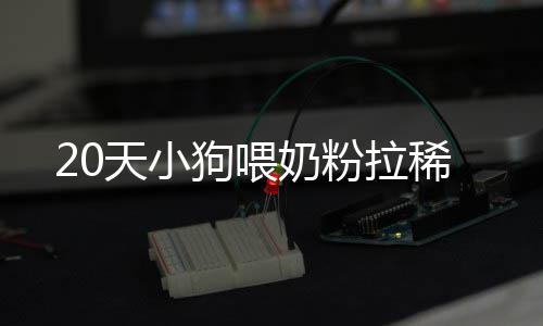 20天小狗喂奶粉拉稀