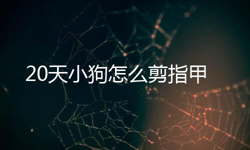 20天小狗怎么剪指甲