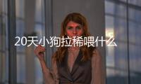 20天小狗拉稀喂什么