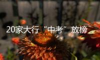 20家大行“中考”放榜：誰家競爭力更強(qiáng)？誰家更承壓？