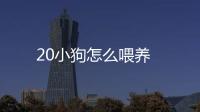 20小狗怎么喂養
