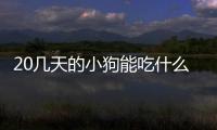 20幾天的小狗能吃什么東西？20幾天的小狗吃什么好啊?