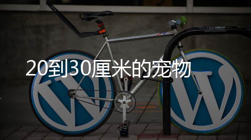 20到30厘米的寵物