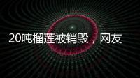 20噸榴蓮被銷毀，網(wǎng)友：隔著屏幕都能聞到那股味兒
