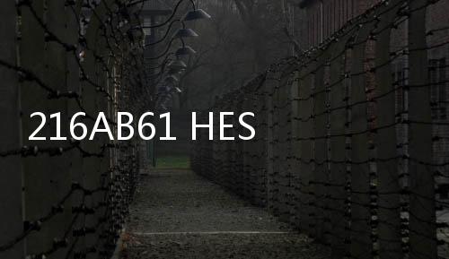 216AB61 HESG324013R100