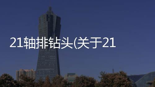 21軸排鉆頭(關(guān)于21軸排鉆頭簡(jiǎn)述)