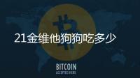 21金維他狗狗吃多少
