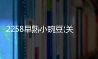 2258早熟小豌豆(關于2258早熟小豌豆簡述)