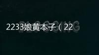 2233娘黃本子（2233娘黃本子）