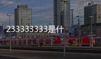 233333333是什么意思網絡語言（23333是意思網絡語言）