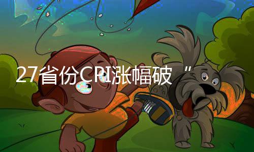 27省份CPI漲幅破“1”