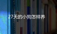 27天的小狗怎樣養(yǎng)