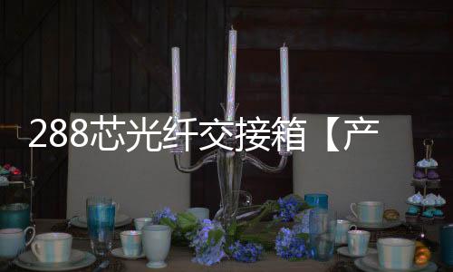 288芯光纖交接箱【產(chǎn)品規(guī)格】