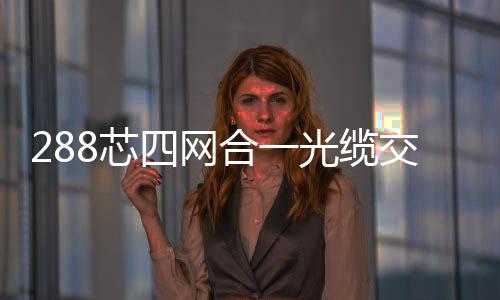 288芯四網(wǎng)合一光纜交接箱講解圖文說明