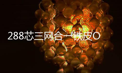 288芯三網(wǎng)合一鐵皮ODF機(jī)柜【尺寸】