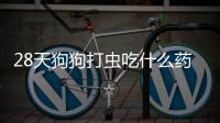 28天狗狗打蟲吃什么藥