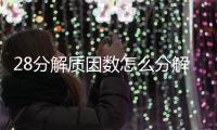 28分解質因數怎么分解 28分解質因數