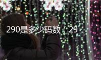 290是多少碼數(shù)（290是多少碼）