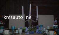 kmsauto  net  exe