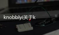 knobbly(關于knobbly簡述)